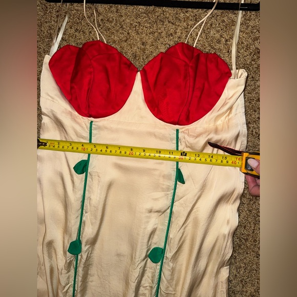 Farm Rio Rose Detailed Midi Satin
Dress size large - Picture 9 of 11